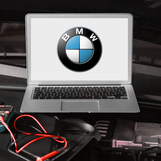 2014 BMW X5 3.0L xDrive35d Electrical Wiring System Diagram Manual – PDF Download